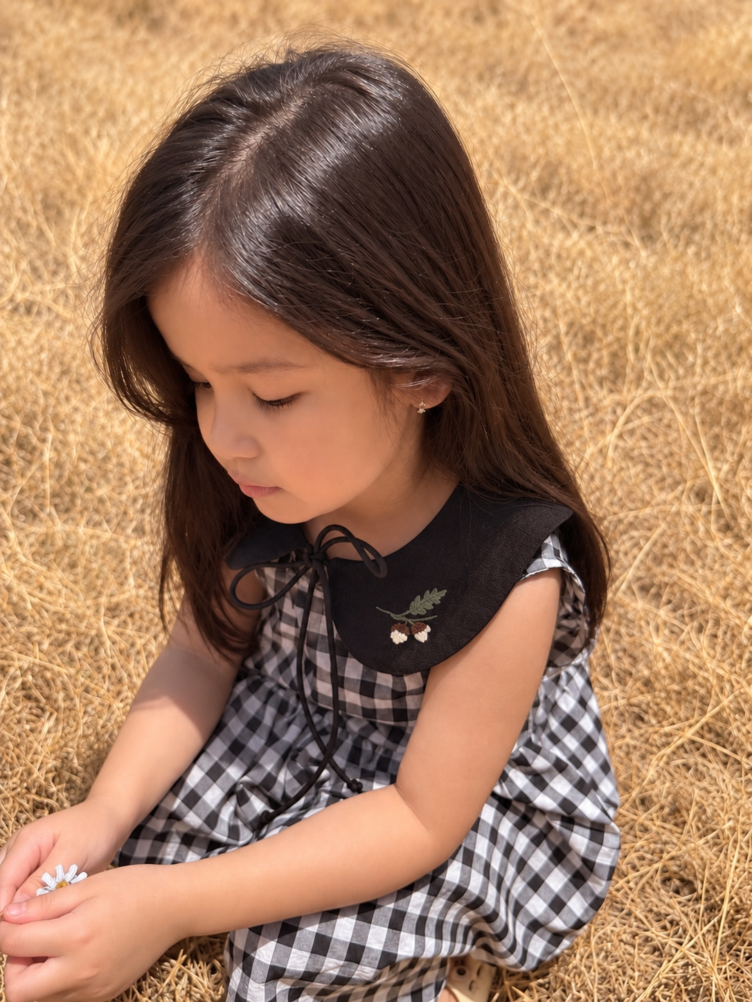 橡子手刺繡彼得潘領片｜小孩款 Little Acorn Peter Pan Collar